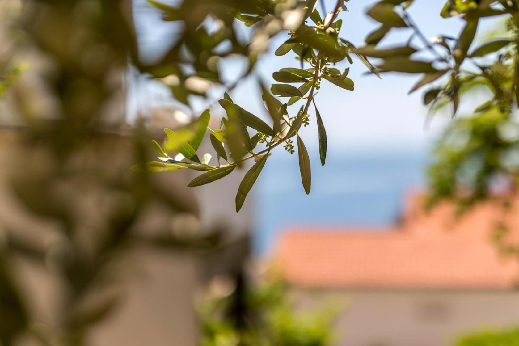 Apartments With A Parking Space Baska Voda, Makarska - 301 外观 照片